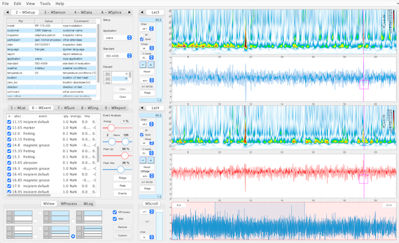 Wirelet software dedicated to MRT signal analysis